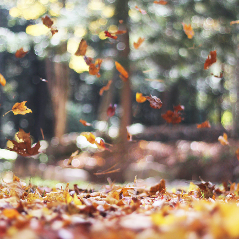 8 Gifts to Help You Welcome the Fall Season