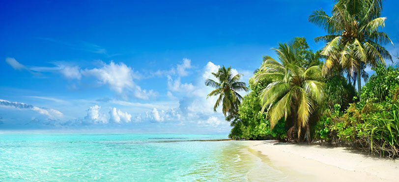tropical beach with turquoise waters and white sands