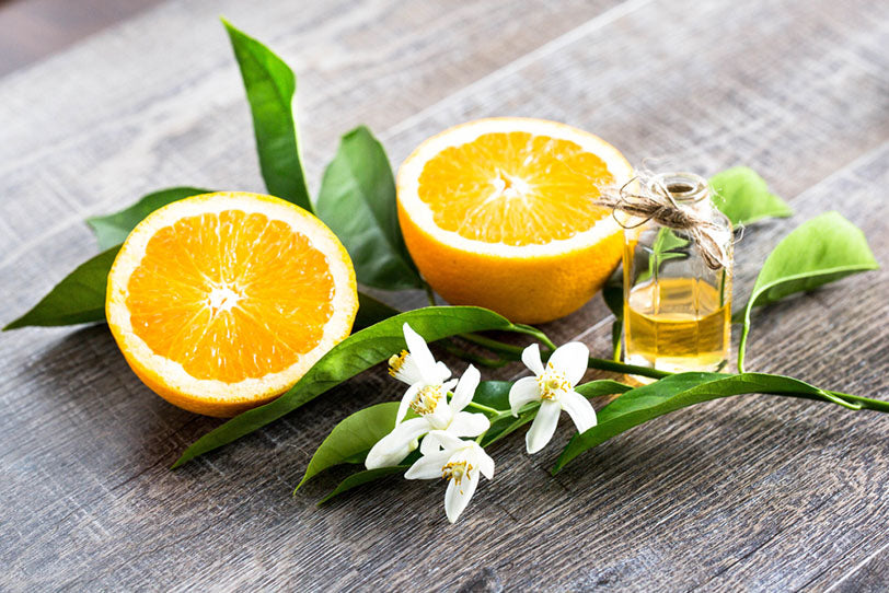 juicy orange cut two parts