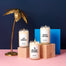 A group shot of the California Coast inspired candles at Homesick. The SoCal candle is on the pink surface with the LA candle and Beach Cottage candle above it on wooden cube pedestals. On the left is a small gold palm tree for decor with a navy blue background.