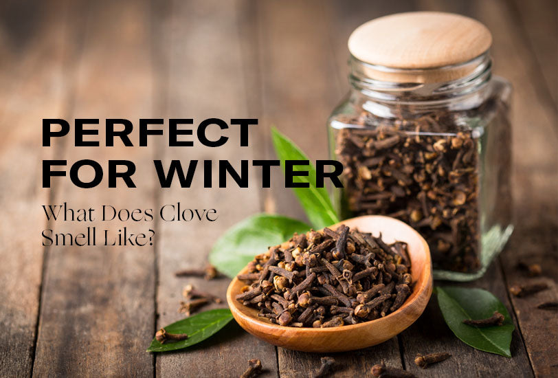 Perfect for Winter – What Does Clove Smell Like