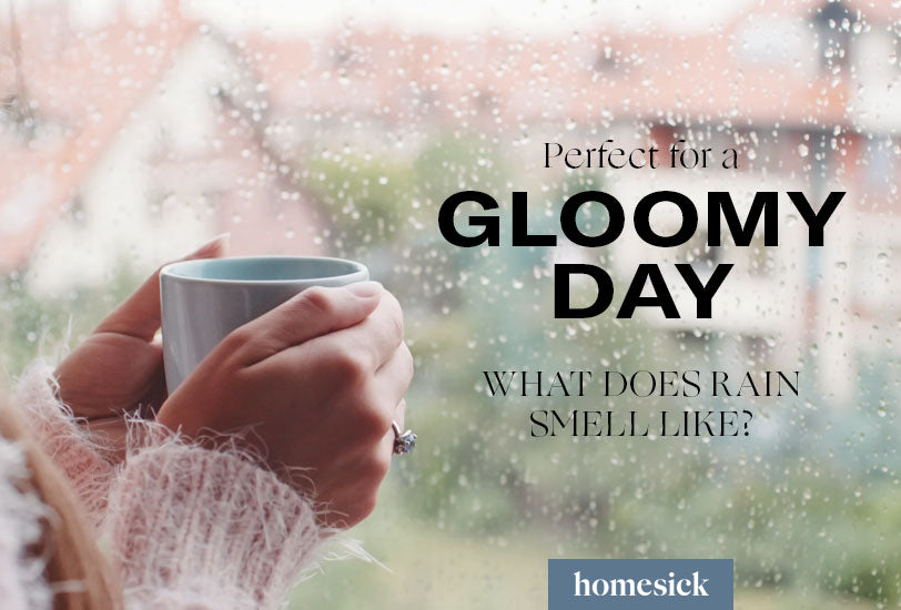 Perfect for a Gloomy Day: What Does Rain Smell Like