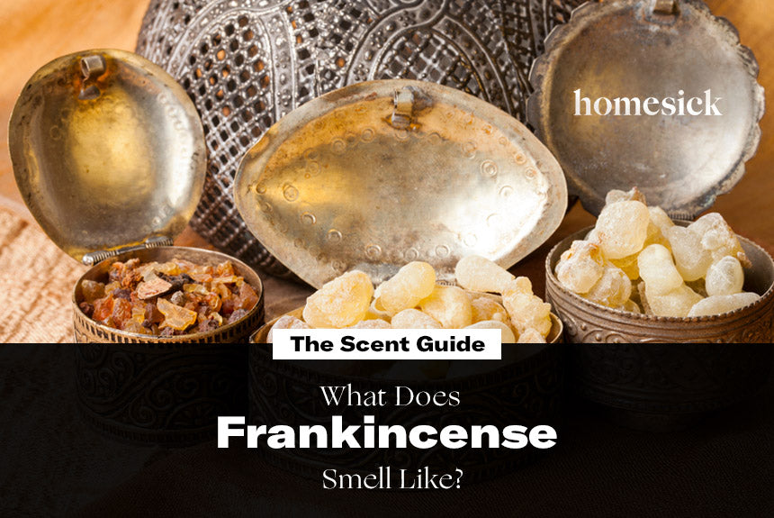 The Scent Guide What Does Frankincense Smell Like
