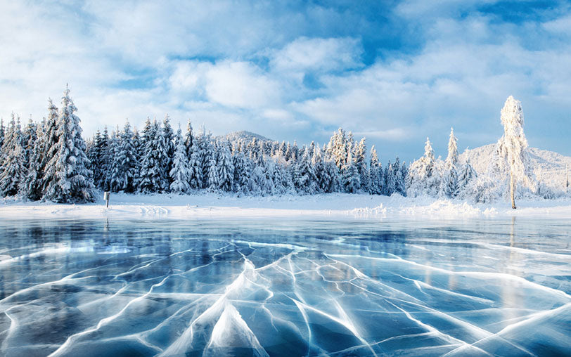 snowy scene with ivy river foreground