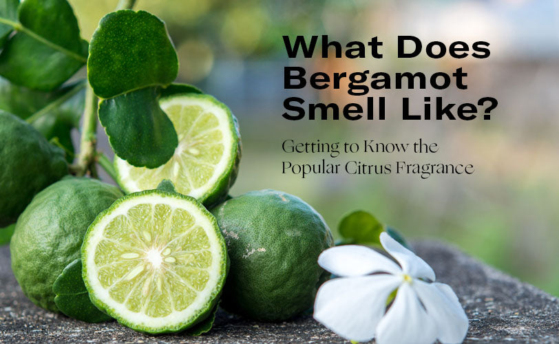 What Does Bergamot Smell Like Getting to Know the Popular Citrus Fragrance