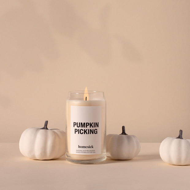 The Pumpkin Picking Candle on top of a rich cream surface and rich cream background. Next to the candle are small white pumpkins.